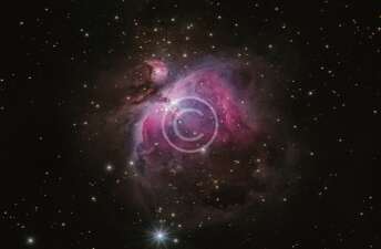 Pandemic Aftershock: Third World